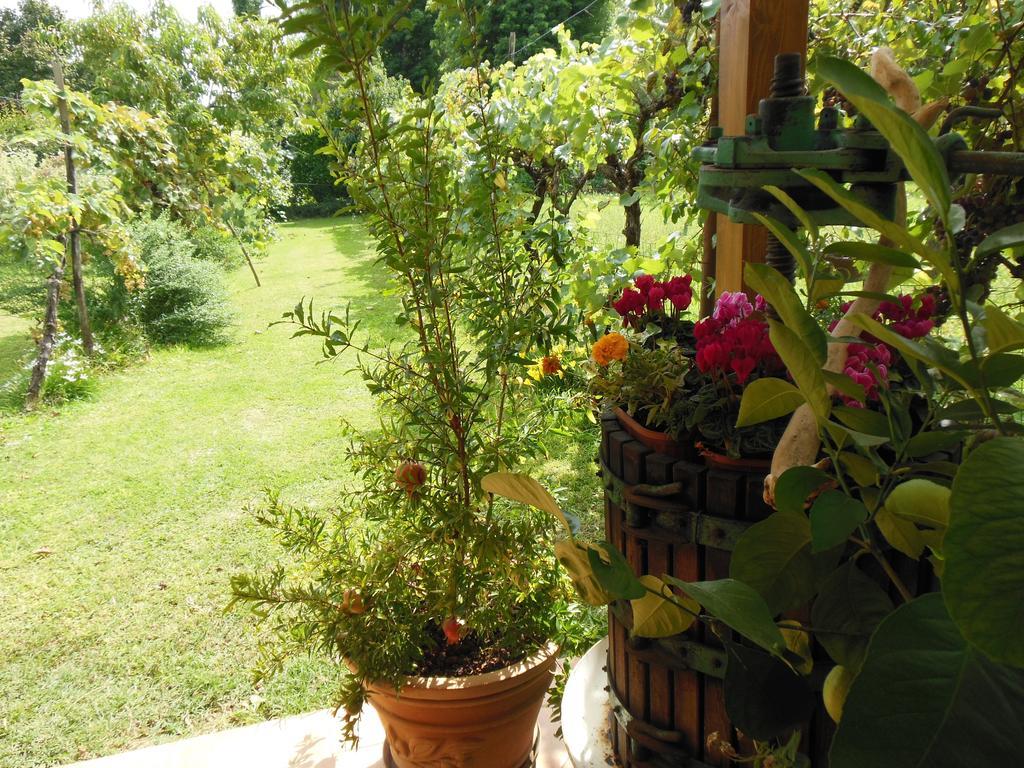 Bed and Breakfast Al Pic De Corone Terzo d' Aquileia Экстерьер фото